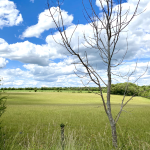 La campagne vexinoise