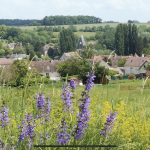 Village de Genainville